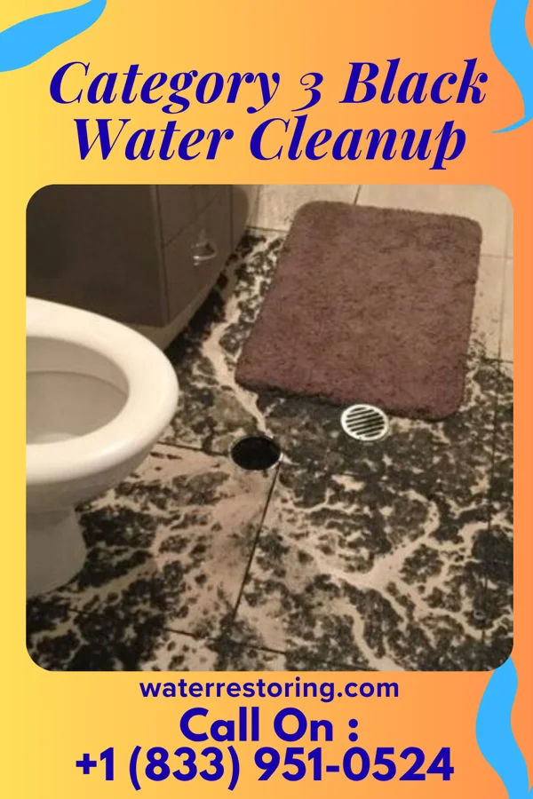 Category 3 Black Water Cleanup in Bear Creek, AL