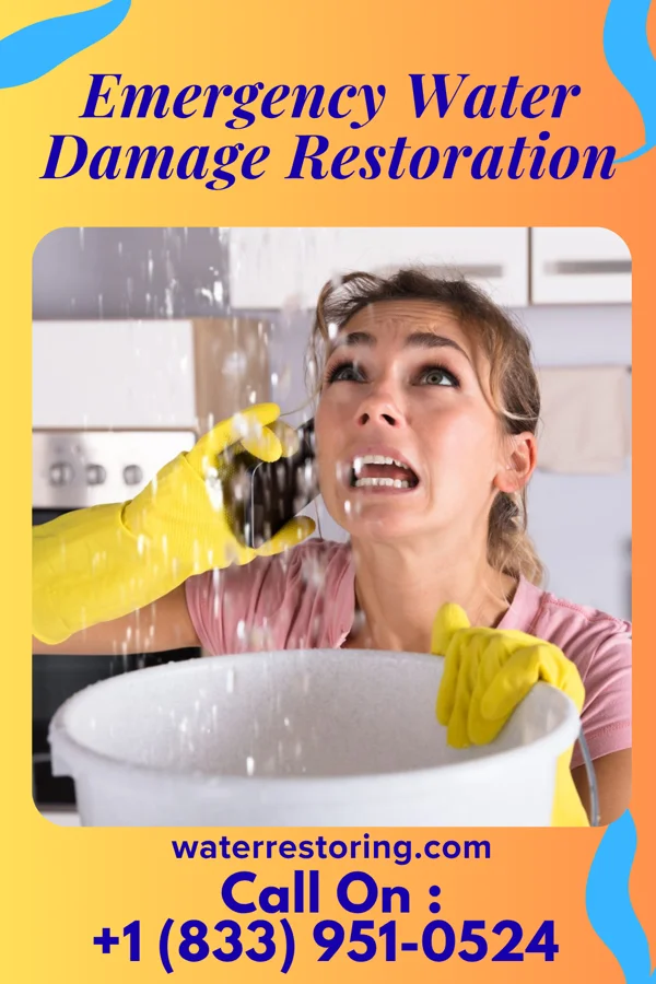 Emergency Water Damage Restoration in Bear Creek, AL